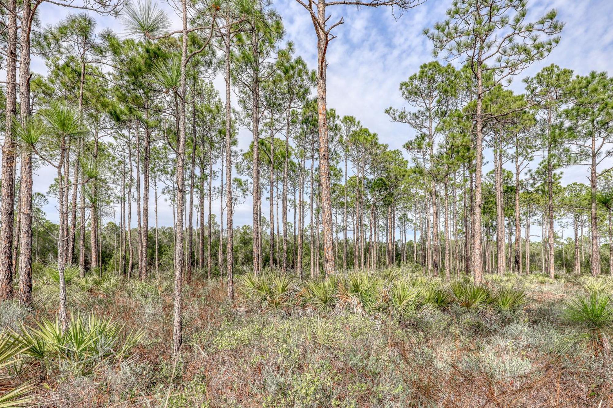 Village Of South Walton B247 Inlet Beach Exterior foto